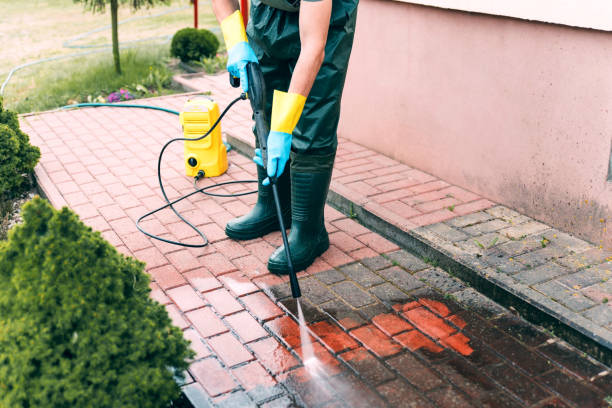 Best Pressure Washing Services Near Me  in Belcourt, ND