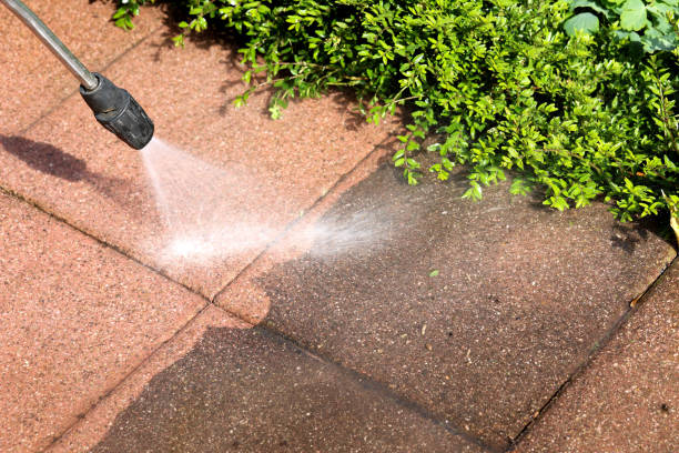 Best Pressure Washing Near Me  in Belcourt, ND